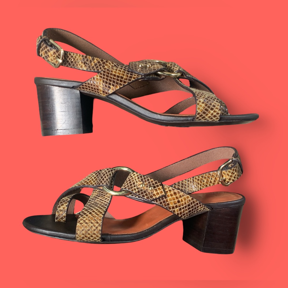 Soeur Snakeskin Brown Heels